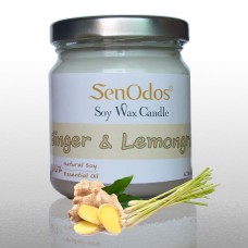 Ginger + Lemongrass - 190g